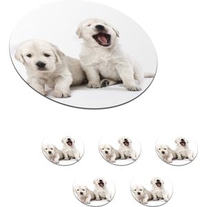 Onderzetters voor glazen - Rond - Portret van Golden Retriever puppy's - 10x10 cm - Glasonderzetters - 6 stuks
