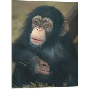 WallClassics - Vlag - Zittende Chimpanzee - 60x80 cm Foto op Polyester Vlag