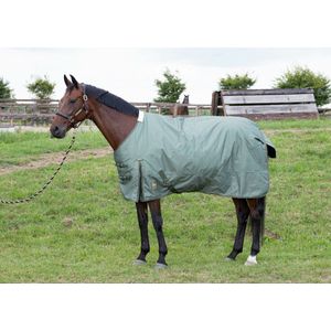 Harry's Horse Outdoordeken Thor 200gr - maat 165/215 - olivine