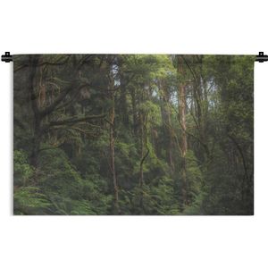 Wandkleed Diep in de jungle - Jungle in Australië Wandkleed katoen 150x100 cm - Wandtapijt met foto