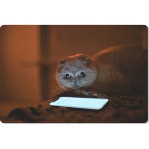 Bureau mat - Komische kat die naar een telefoon kijkt - 60x40