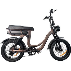 EB8 Fatbike E-bike 250Watt motorvermogen topsnelheid 25 km/u 20X4.0” Banden elektrische fiets