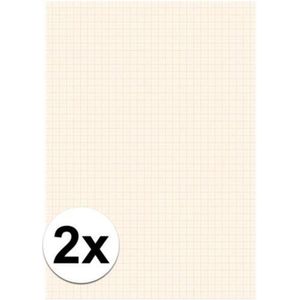 2x Blok millimeter papier A3