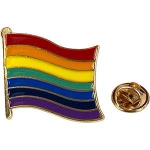 Rainbow Flag Regenboog Vlag LGBT Gay Pride Emaille Pin 3 cm / 3 cm / Multicolor