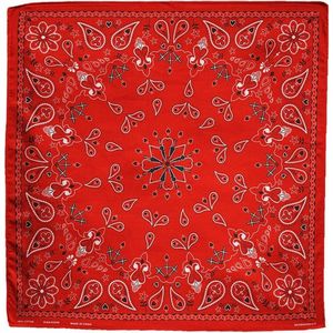 ZAN Headgear Bandana - Bandana Heren - Motor Accessoires - Rode Bandana - Paisley patroon