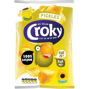 CROKY CHIPS PICKLES 100GR