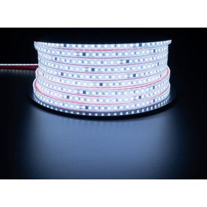 LED Strip - Velvalux - 50 Meter - Helder.Koud Wit 6000K - Dimbaar - Waterdicht IP67 - 96000 Lumen - 6000 LEDs - Directe Aansluiting op Netstroom - Werkt zonder Driver