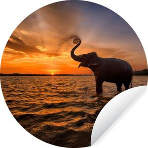 Behangcirkel - Behangsticker - Zelfklevend behang - Olifant - Zonsondergang - Water - Wilde dieren - Muurdecoratie rond - Kamer decoratie - Woonkamer - 80x80 cm - Behang rond - Wanddecoratie