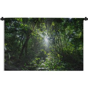 Wandkleed Diep in de jungle - Zon breekt door bladerdek Costa Rica Wandkleed katoen 90x60 cm - Wandtapijt met foto
