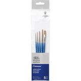 Winsor & Newton Cotman Penseel Korte Steel Set van 5 V.1