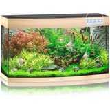 Juwel Aquarium Vision 180 Led 92x41x55 cm - Aquaria - Licht Hout