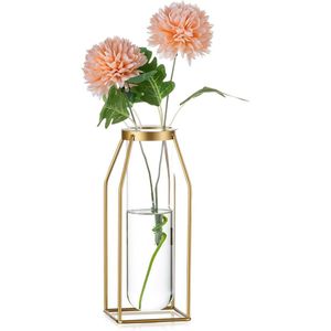 Gouden Frame Glazen Bloemenvaas Set van 2 - Moderne Geometrische Kunstvaas voor Planten - Woonkamer Eettafel Keuken Badkamer - Centrepieces .