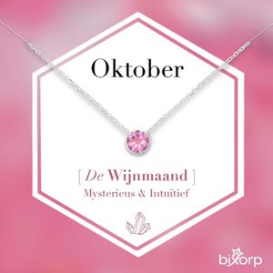 Bixorp Geboortesteen Ketting Oktober - Zilverkleurig Roestvrij Staal met Zirkonia Hanger - Stainless Steel - Rozenkwarts