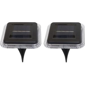 Progarden Buiten lampje/prik spots - set 2x - solar verlichting - tuinpad/planten verlichting - 8 LEDs - D10 cm