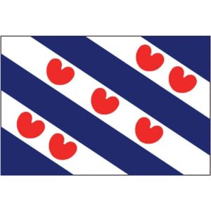 Talamex Friese vlag  40 x 60 cm