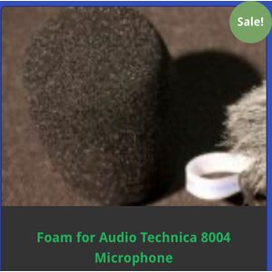 Reinhardt Foam for Audio Technica 8005