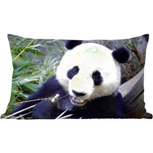 Sierkussen Panda voor binnen - Etende panda - 50x30 cm - rechthoekig binnenkussen van katoen