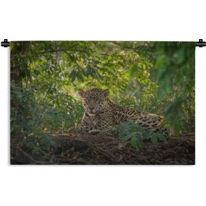 Wandkleed Junglebewoners - Jaguar in de jungle Wandkleed katoen 180x120 cm - Wandtapijt met foto XXL / Groot formaat!