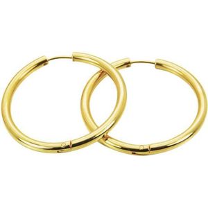 Amanto Oorbellen Dax G - 316L Staal PVD - 3x36mm