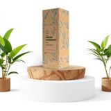 Green Harmony | COMBI DEAL van 4 witte orchideeën - Ghent - potmaat Ø12cm | bloeiende kamerplant - vers van de kweker