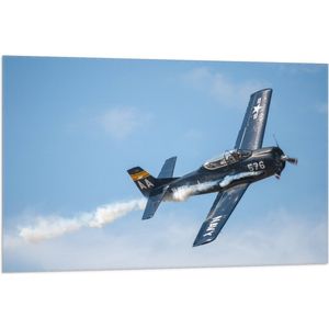 WallClassics - Vlag - Minnie Blauw Vliegtuig in de Lucht - 105x70 cm Foto op Polyester Vlag