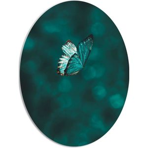 WallClassics - PVC Schuimplaat Ovaal - Blauwe Vlinder in Blauwkleurige Omgeving - 51x68 cm Foto op Ovaal (Met Ophangsysteem)