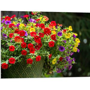 WallClassics - PVC Schuimplaat- Bloemenmadjes met Rode, Paarse en Gele Bloemen - 80x60 cm Foto op PVC Schuimplaat