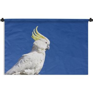 Wandkleed Kaketoes - Witte kaketoe met een gele kuif in een blauwe hemel Wandkleed katoen 90x60 cm - Wandtapijt met foto