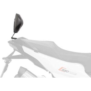 Shad Bmw C600/650 Sport Rugsteun Zwart