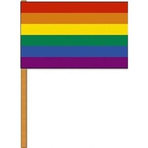 Luxe zwaaivlag/handvlag regenboog 30 x 45 cm met houten stok - LGBT/LGBTQ feestartikelen