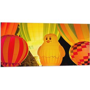 WallClassics - Vlag - Gekleurde en Verlichte Ballonnen - 100x50 cm Foto op Polyester Vlag