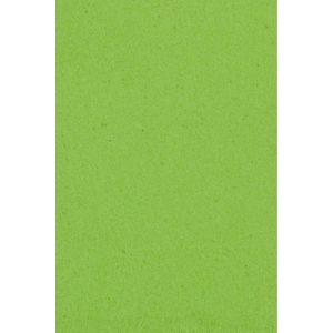 Amscan - Tafelkleed - Lime (137 cm x 274 cm)