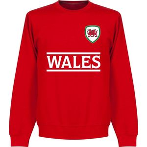 Wales Team Sweater  - Rood - Kinderen - 104