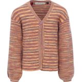 LOOXS Little 2401-7319-700 Meisjes Sweater/Vest - Maat 128 - Bruin van 100% polyester