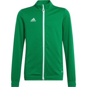 adidas - Entrada 22 Track Jacket Youth - Groene Jas Kids-164