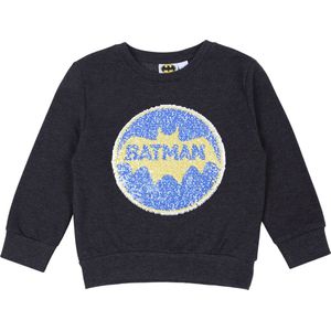 Grafietkleurige trui BATMAN DC COMICS