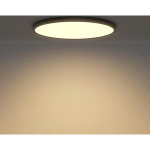 Moderne platte ronde LED-plafondlamp 28 W 2520 lumen Ø30 cm × H 2 cm warm wit 3000 K voor woonkamer slaapkamer hal keuken zwart