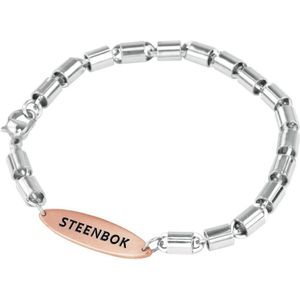 Max 980100287 Stalen Armband met Sterrenbeeld - Steenbok - Staal - 22 cm - Rosekleurig - Zilverkleurig