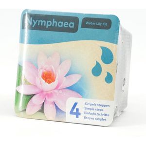 Moerings - Droogverpakking vijverplant - Nymphaea waterlelie Roze