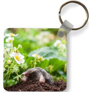 Sleutelhanger - Uitdeelcadeautjes - Dier - Tuin - Mol - Plastic