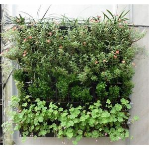 Plantenhanger 9 zakken - Plantenbak - Plantenrek - Hangende tuin - Verticale moestuin