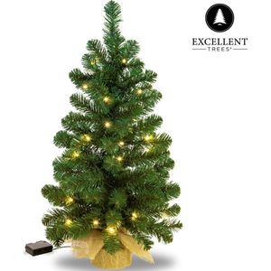 Mini Kerstboom Excellent Trees® LED Jarbo 75 cm met LED verlichting