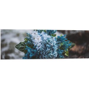 WallClassics - PVC Schuimplaat- Foto van een Klein Boeket met Witte en Blauwe Bloemen - 120x40 cm Foto op PVC Schuimplaat