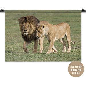 Wandkleed Leeuwen - Leeuwenpaar Wandkleed katoen 60x40 cm - Wandtapijt met foto