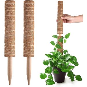 2 stuks mosstokken voor planten binnenshuis, 30 cm Monstera mosstokkenset, stapelbare klimplanten, plantensteunstok, voor binnen en buiten, klimplanten, lianen om omhoog te groeien