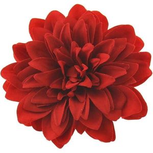 Zac's Alter Ego - Large chrysanthemum Haarbloem - Rood