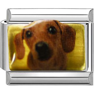 Quiges - Schakel - Bedel - 9mm - charms - hond teckel - Geschikt voor - Nomination- armband - Schakelarmband - italy bedels armband