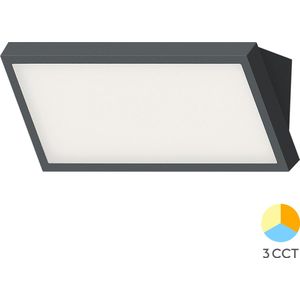Braytron - LED Wandlamp buiten - 20W 20000lm - Lichtkleur verstelbaar - IP65