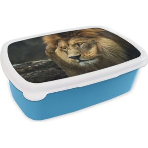 Broodtrommel Blauw - Lunchbox - Brooddoos - Leeuw - Portret - Wild - 18x12x6 cm - Kinderen - Jongen