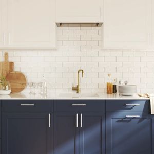 vidaXL - Handvatten - 20 - st - 96 - mm - roestvrij - staal - zilverkleurig